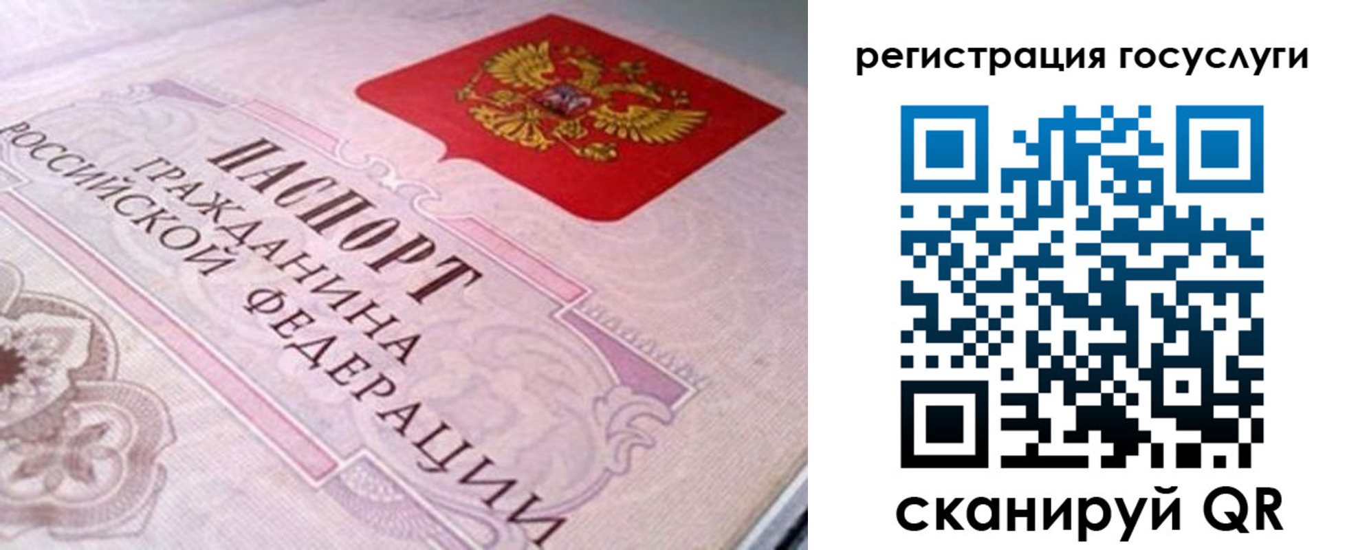 где прописаться в Покрове